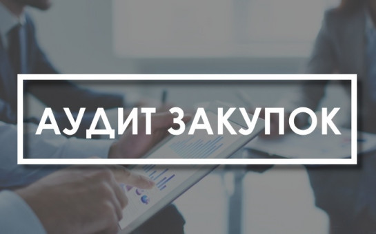 Результаты аудита в сфере закупок, осуществленного Контрольно-счетной палатой Новосибирской области в 2024 году